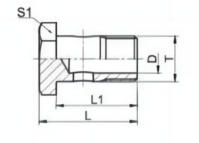 Šuplji vijak - Metrički